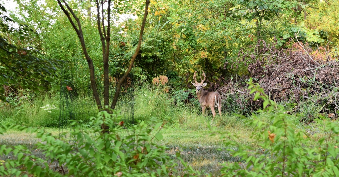 Sell Washington acreage for cash