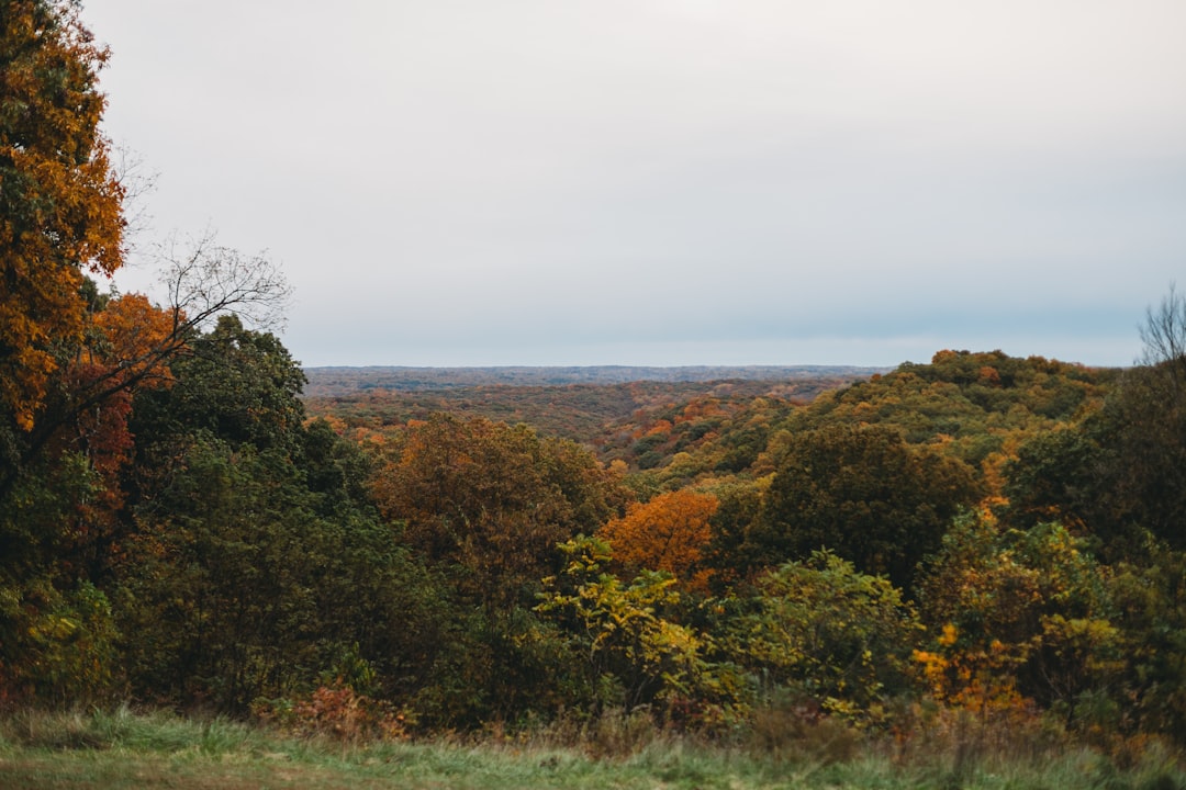 Washington land sale cash buyers