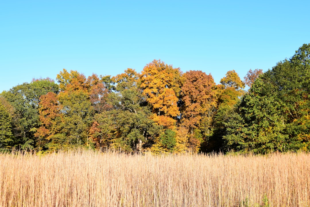 Washington rural land cash sale