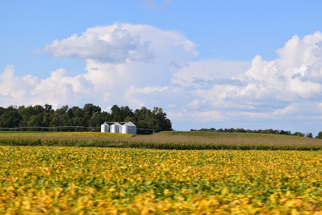 Washington farm property cash sale