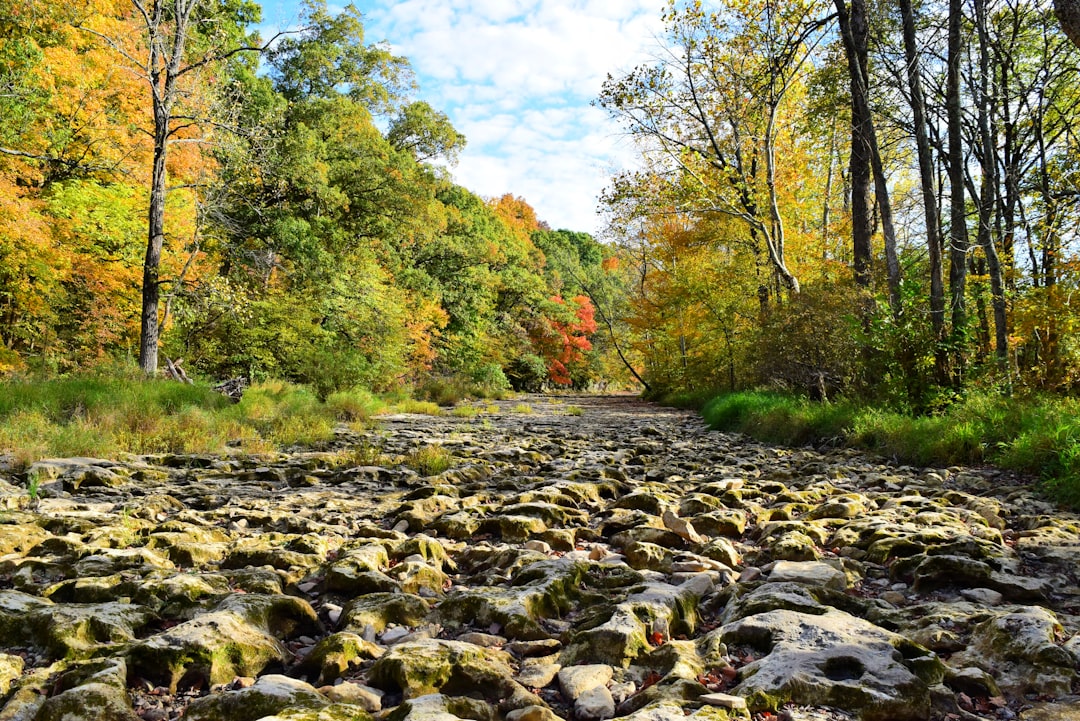 Sell Washington land for cash