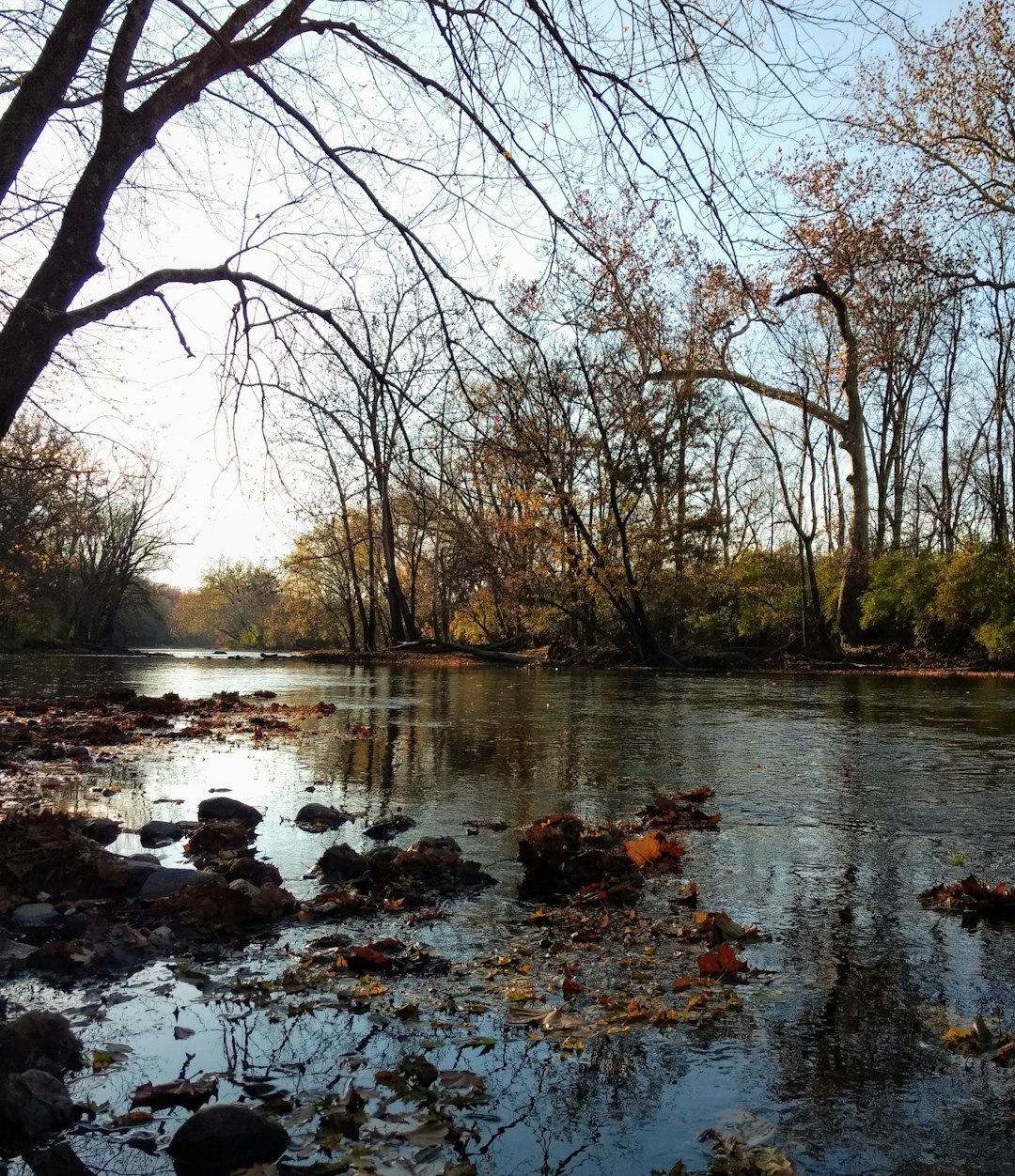 Washington land for sale by owner cash