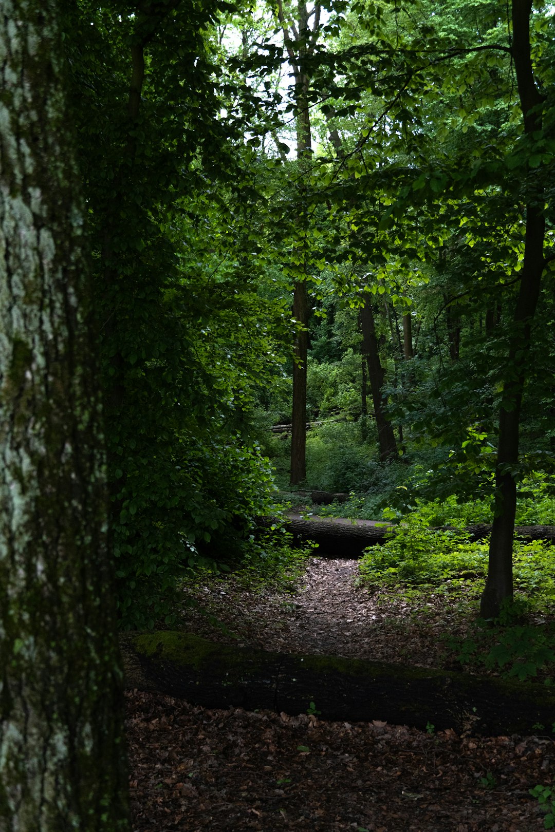 Sell Washington acreage for cash