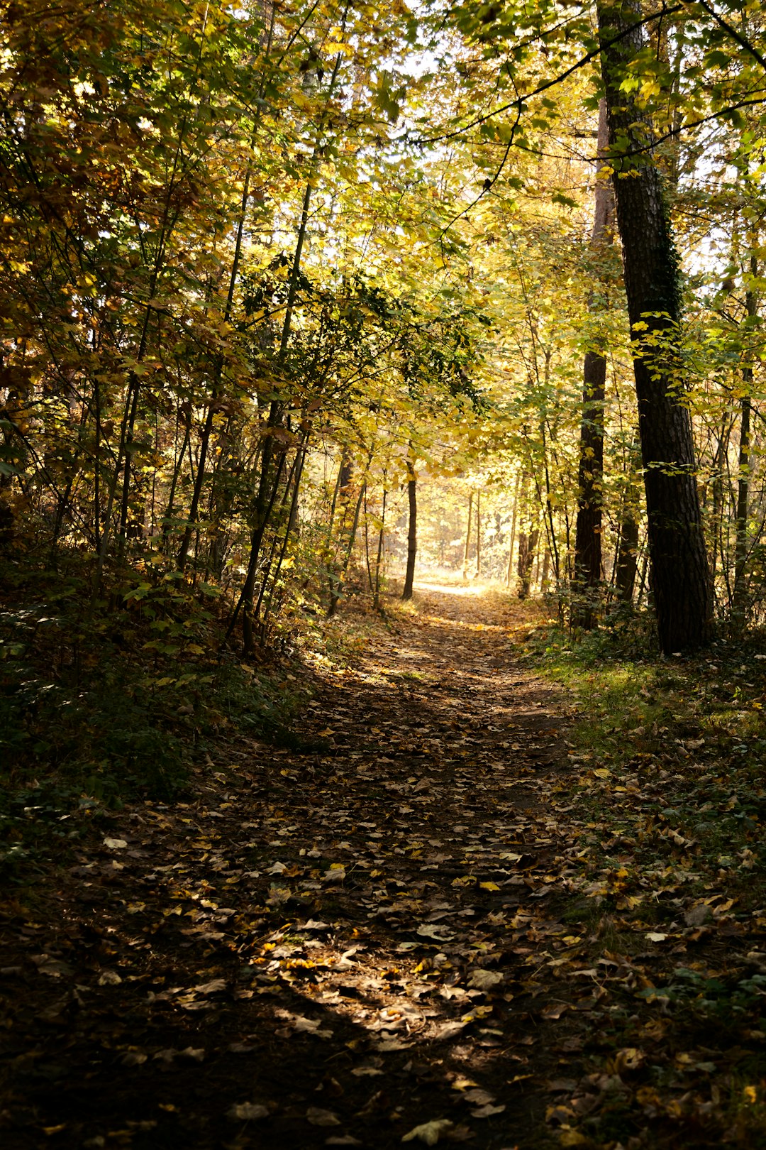 Sell Washington acreage for cash