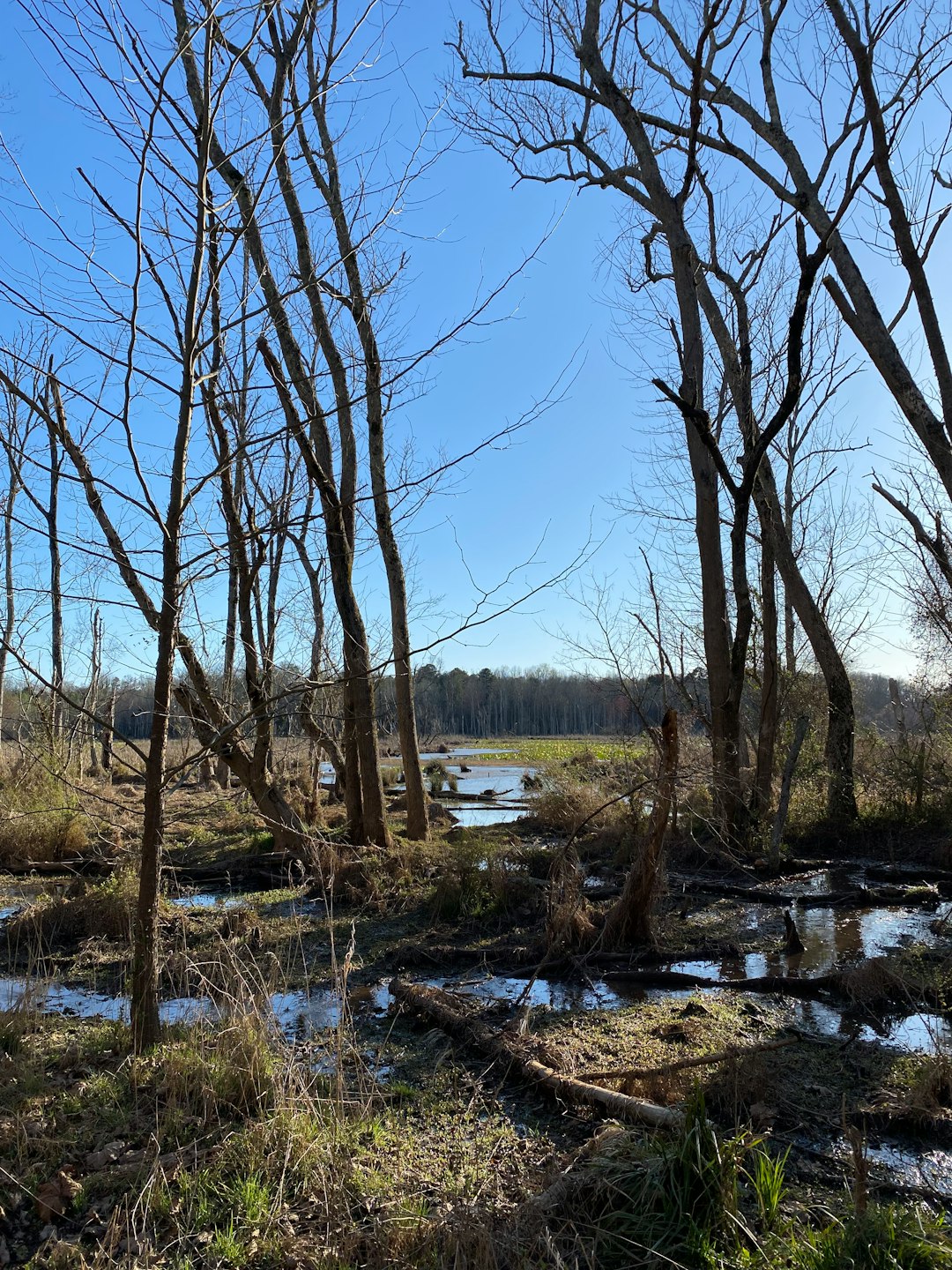 Sell Washington land for cash