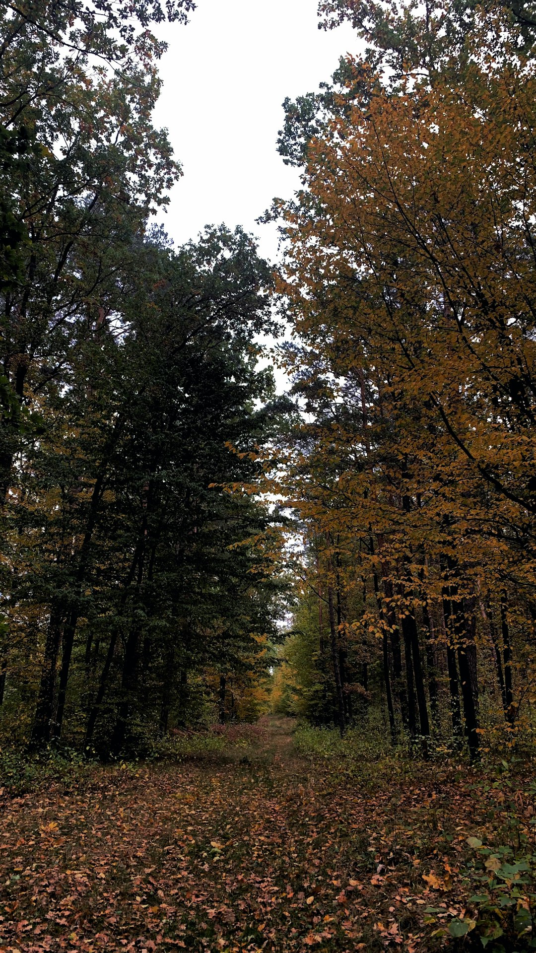 Sell Washington farmland for cash