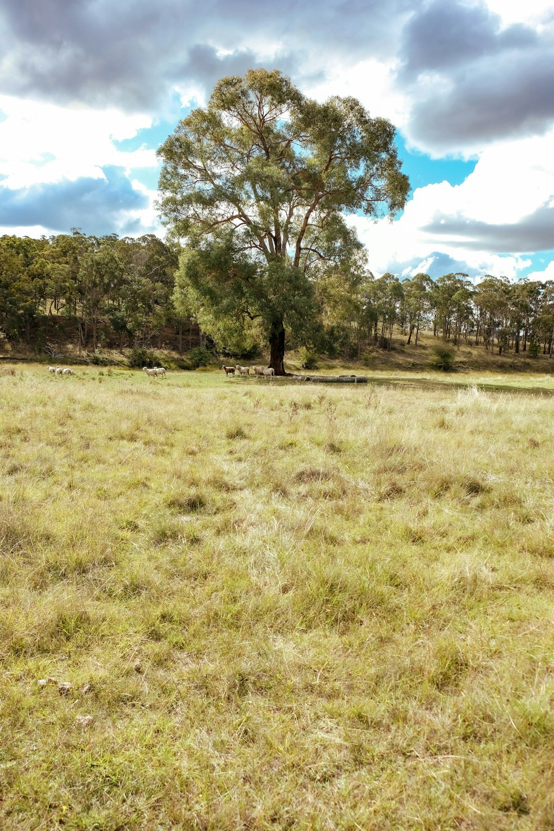 Washington rural land cash sale