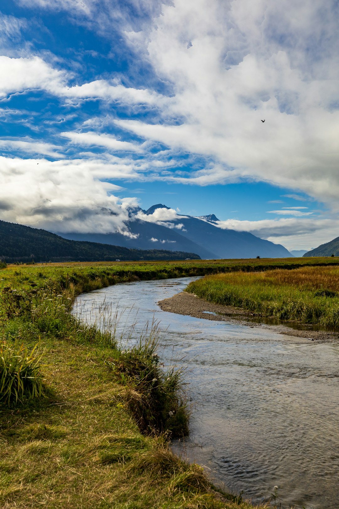 Washington rural land cash sale