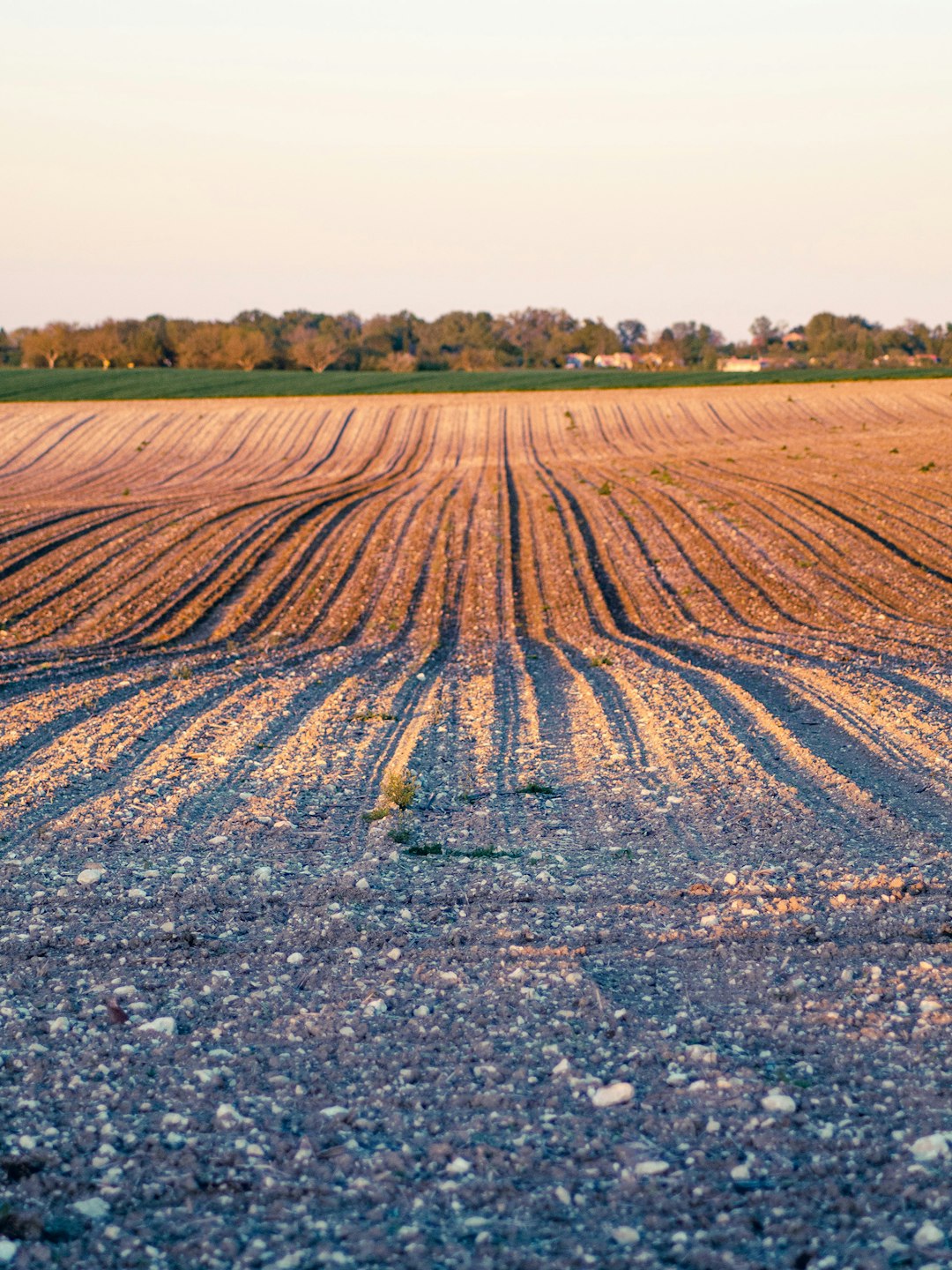 Sell Washington land for cash