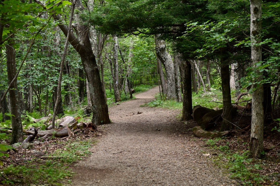 Sell vacant land for cash in MN