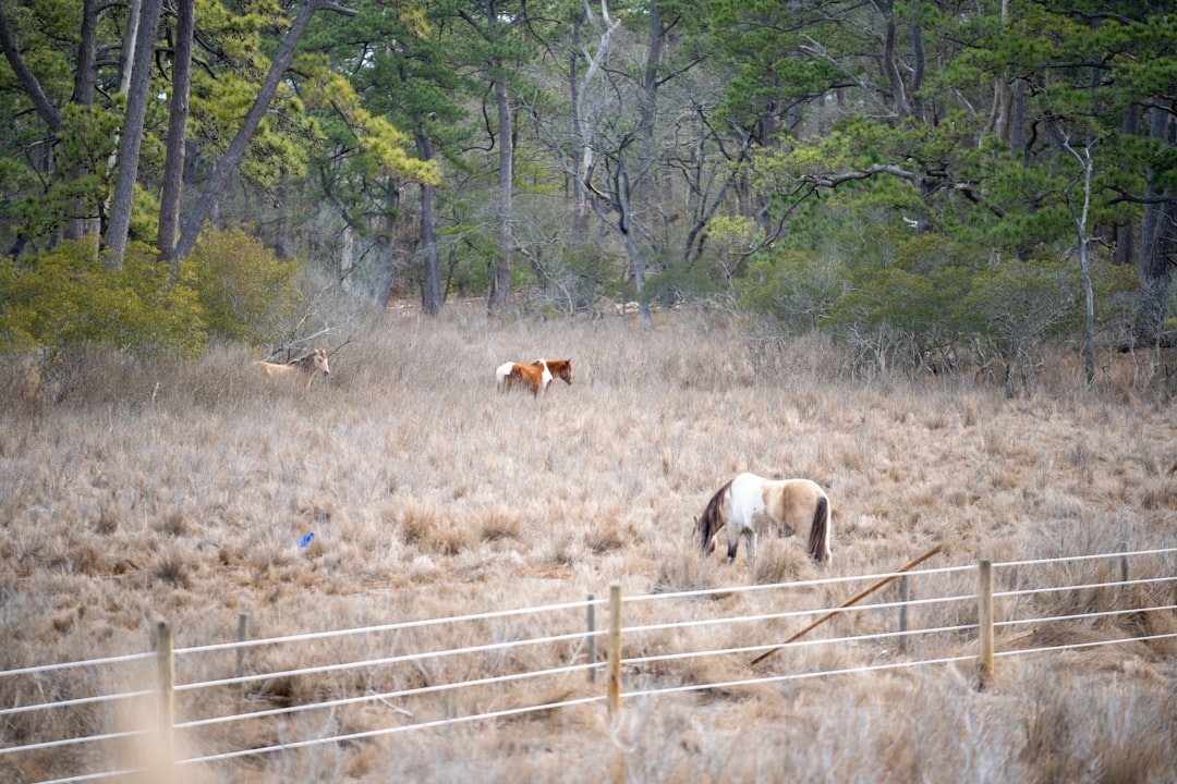 Sell Nebraska land for cash