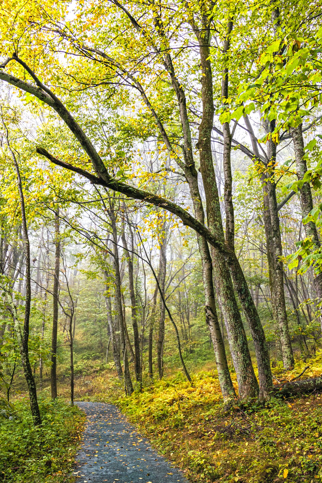 Selling land for ecological preservation in Minnesota