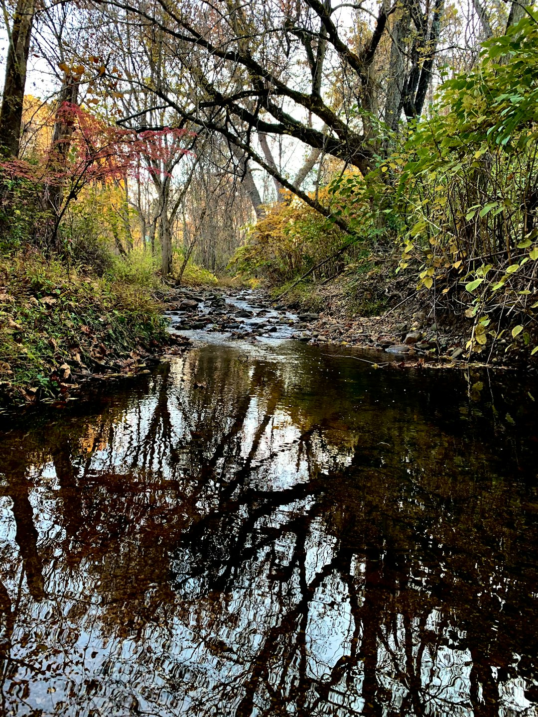 Selling land for ranching in Minnesota