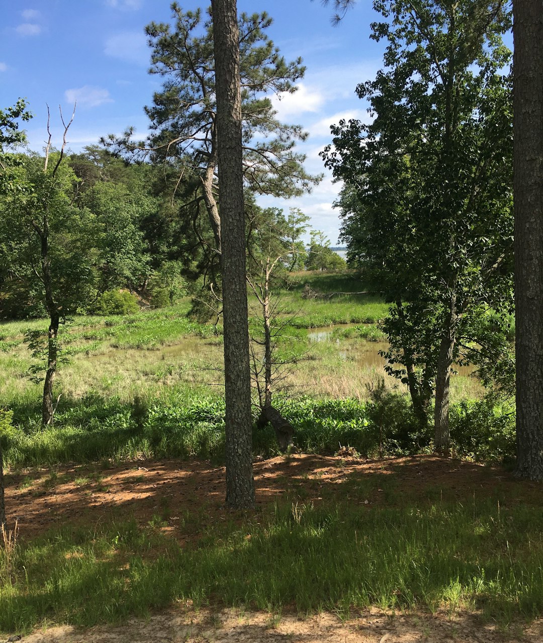 Selling land with mineral rights in Minnesota