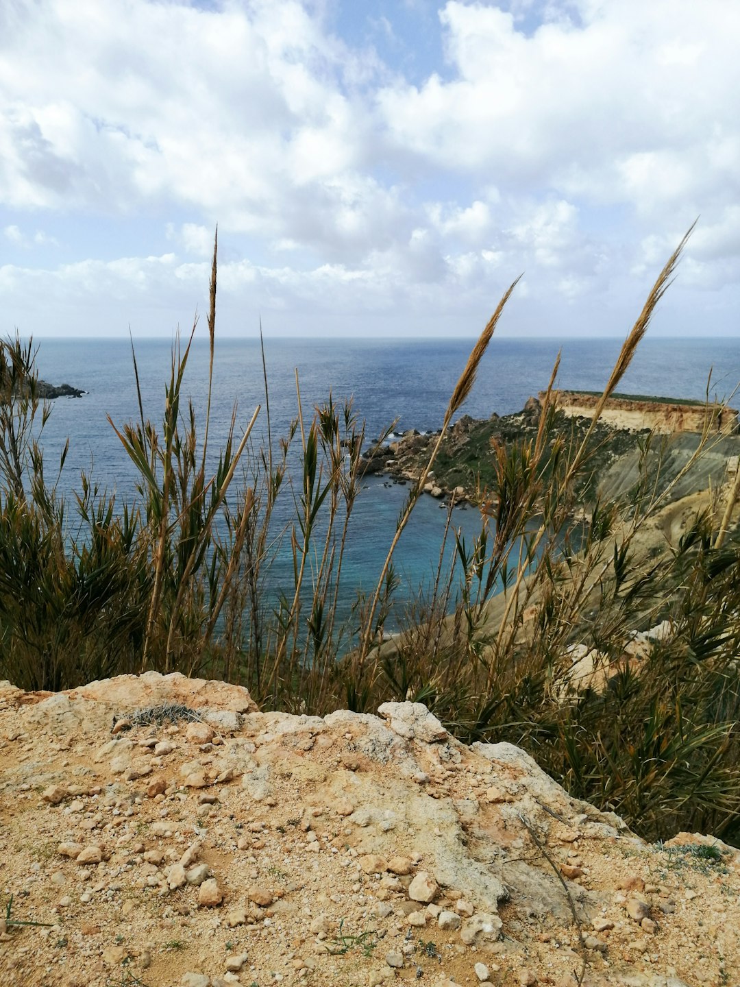 Recognizing the marketplace for Agricultural Home