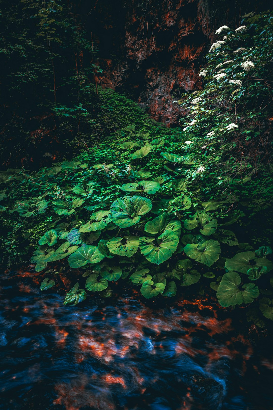 Completing the Sale: Legal Considerations and Paperwork