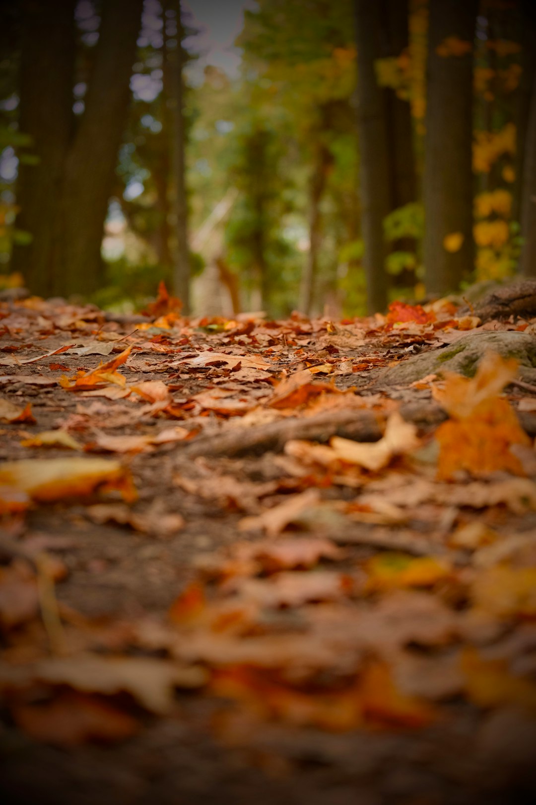 Wrapping up the Sale: Legal Considerations and Documentation