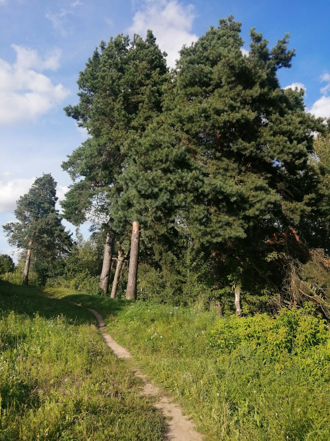 Finding the Right Purchaser