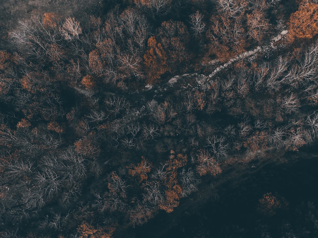 After the Sale: Managing Financial Resources and Looking Ahead