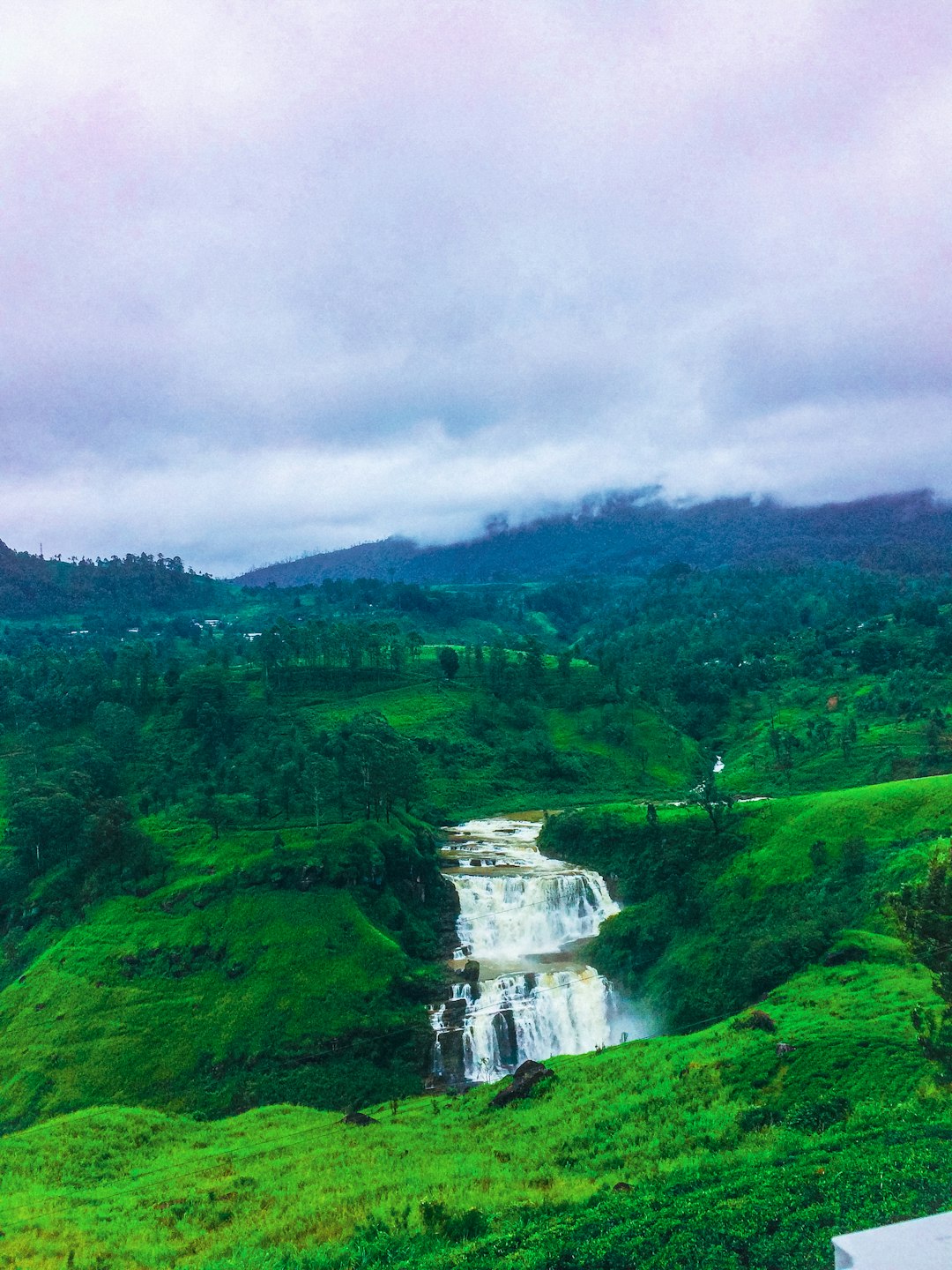 Preparing Your Land to buy