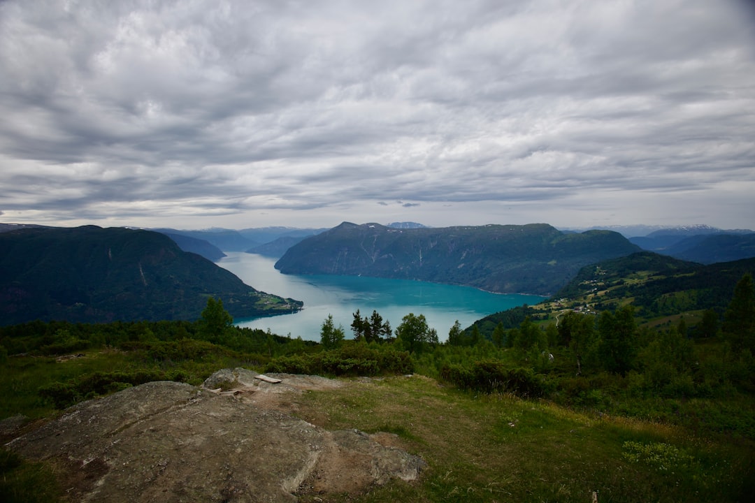 Sealing the Bargain: Closing the Sale Efficiently