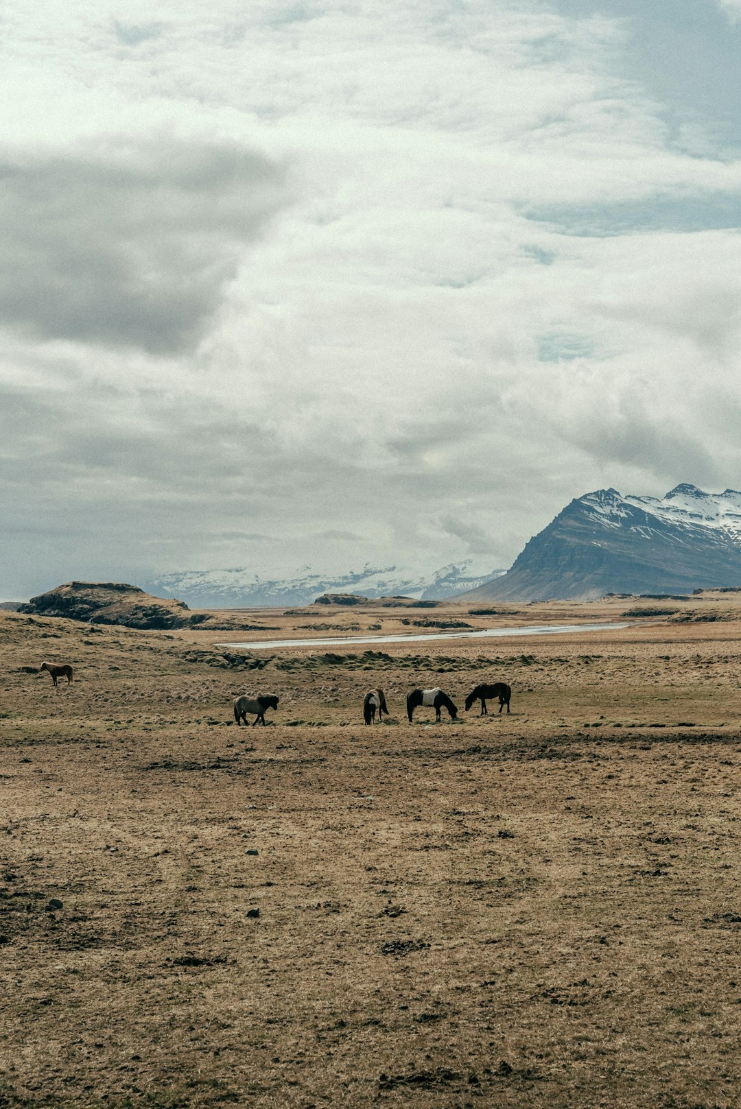 How a Land Customer Representative Can Save You Money And Time