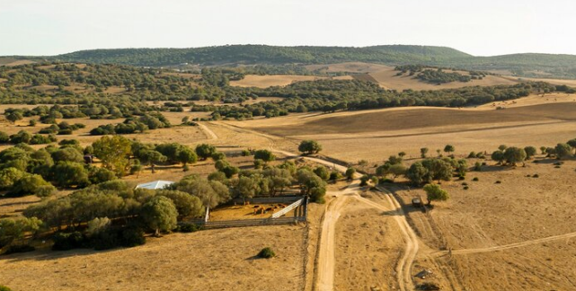 Selling rural land in Idaho