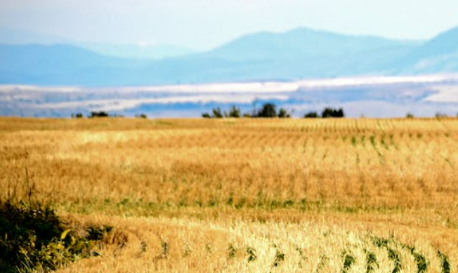 Selling land in Alaska to the government