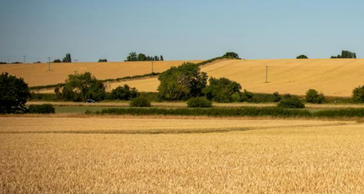 Selling land in flood zone