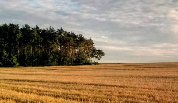 Vacant land in Alaska