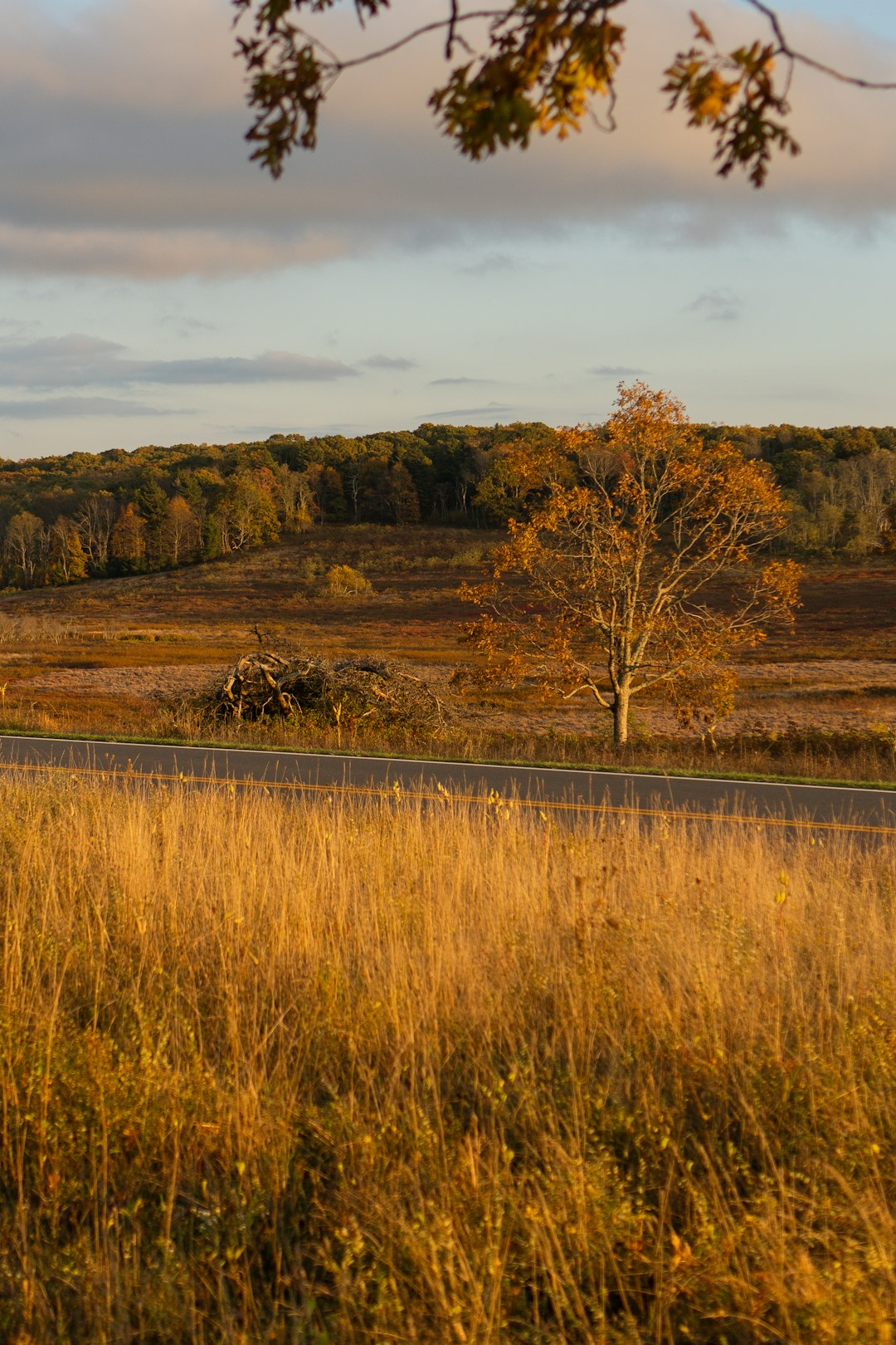 Buy land WI cash