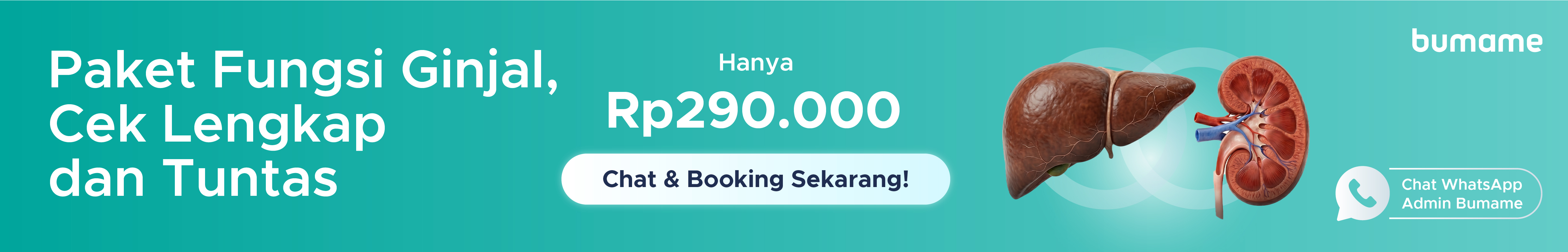 Tanda Ginjal Bermasalah: Panduan Deteksi Dini & Tepat