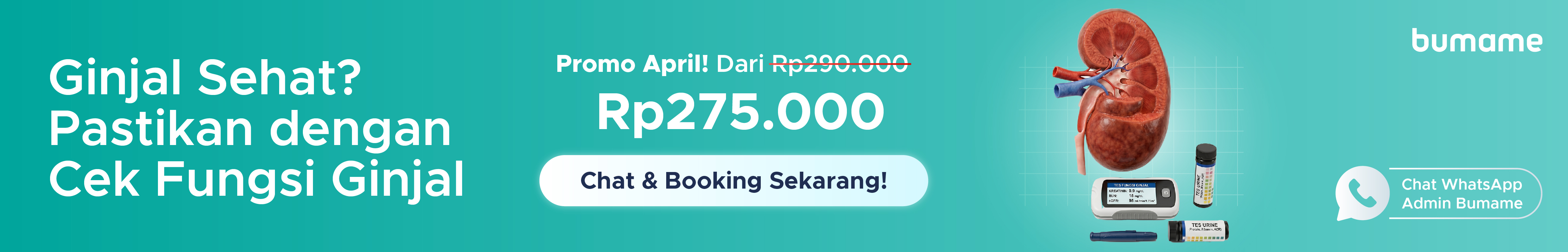 Kapan Harus Cek Ginjal dan Seperti Apa Pemeriksaannya?