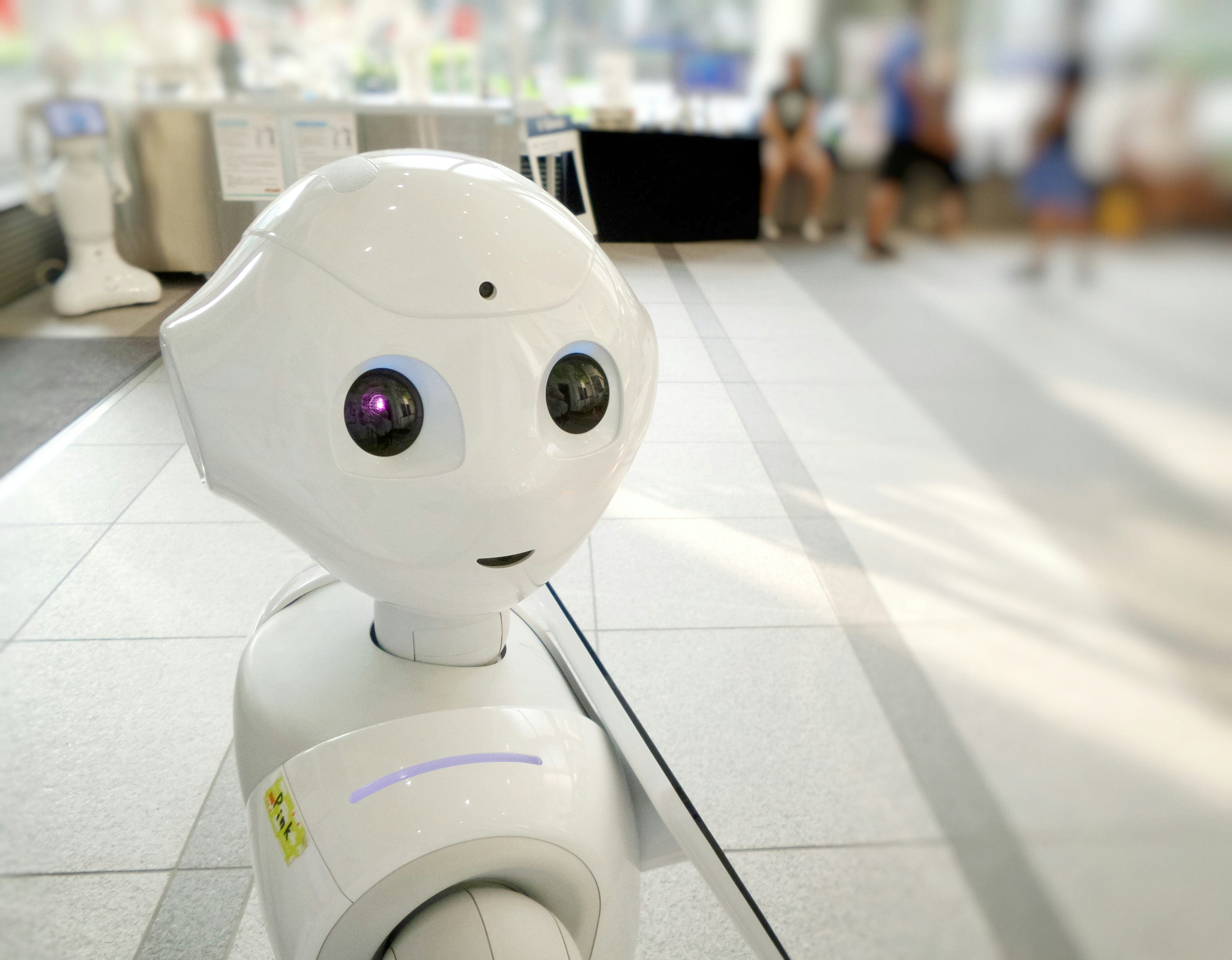 Pepper Robot .jpeg