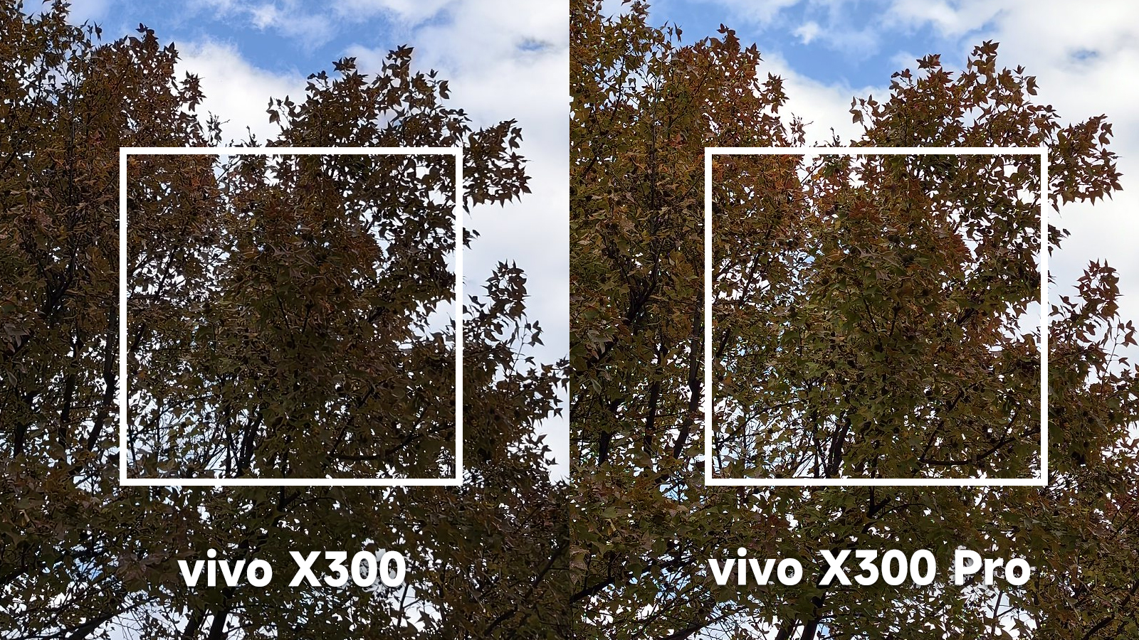 vivo X300 vs vivo X300 Pro 戶外背光對比