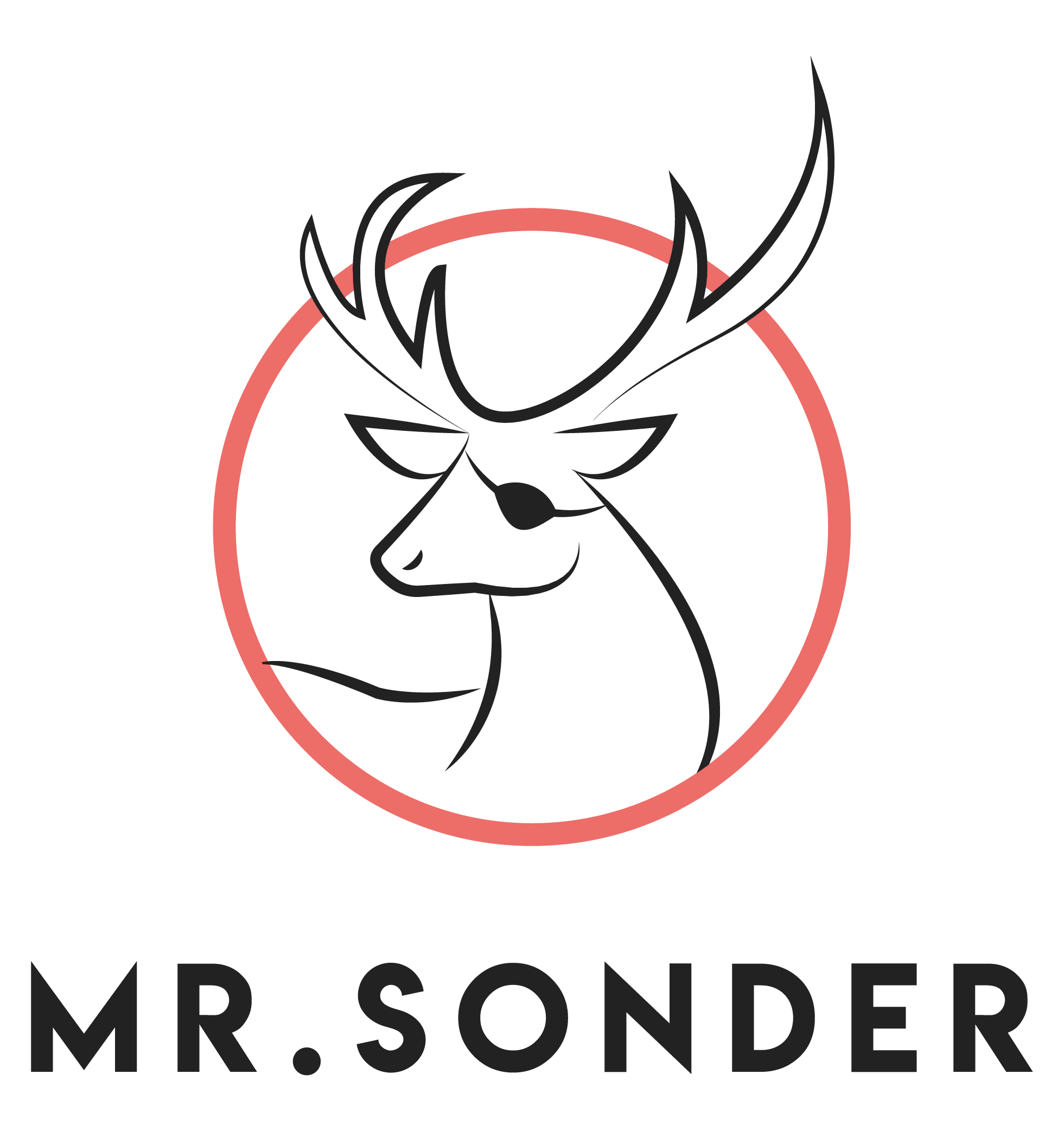Mr Sonder