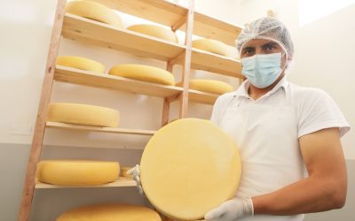 Brasil: Medalla de oro para queso hecho en Perú