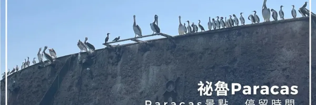 Paracas．行程｜Paracas景點、停留時間、住宿、一日遊總整理 | 莎去哪了