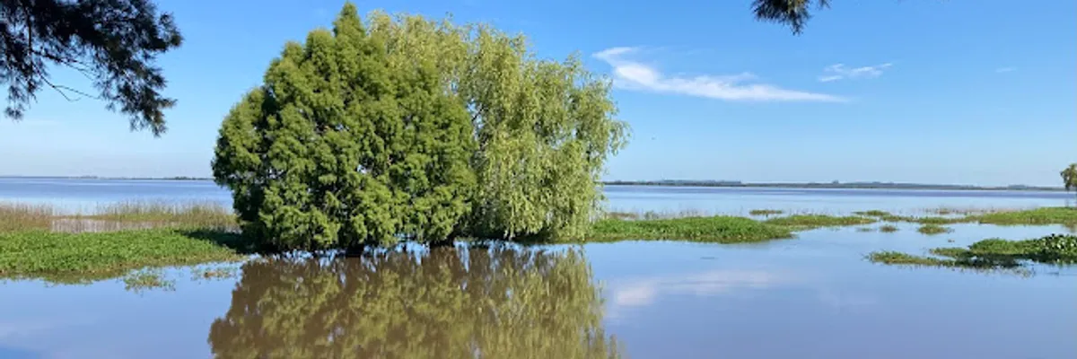 阿根廷科隆(Colon) 邊境小城好吃驚