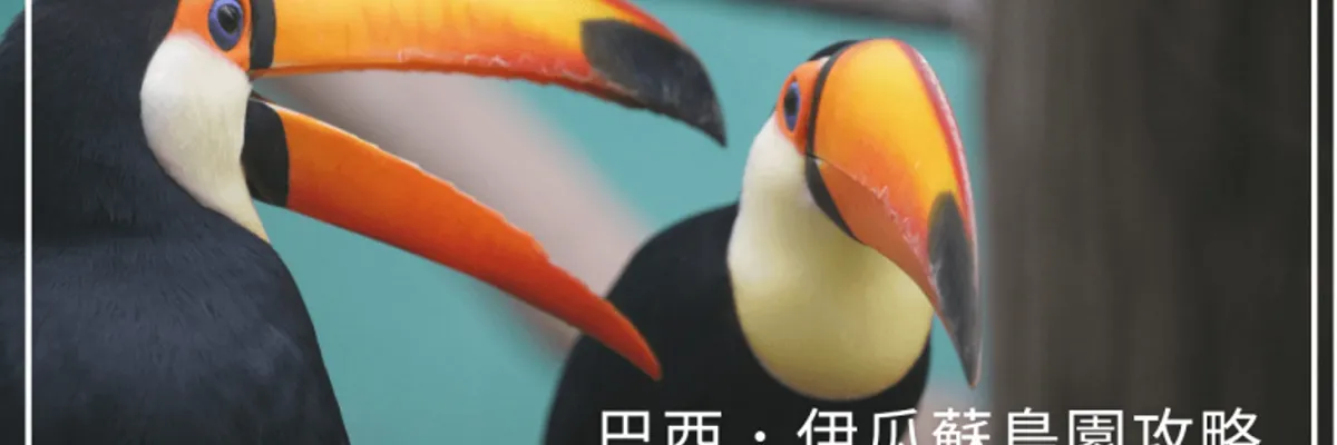 2025 巴西伊瓜蘇鳥園攻略Parque das Aves:門票、交通、行程安排全解析!| 莎去哪了