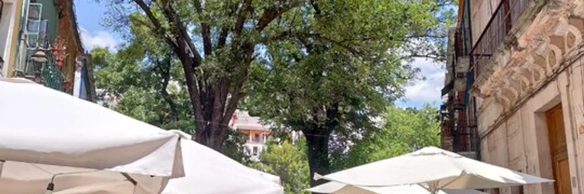 坎昆、瓦哈卡、瓜納華托、聖米格爾德阿連德旅行分享