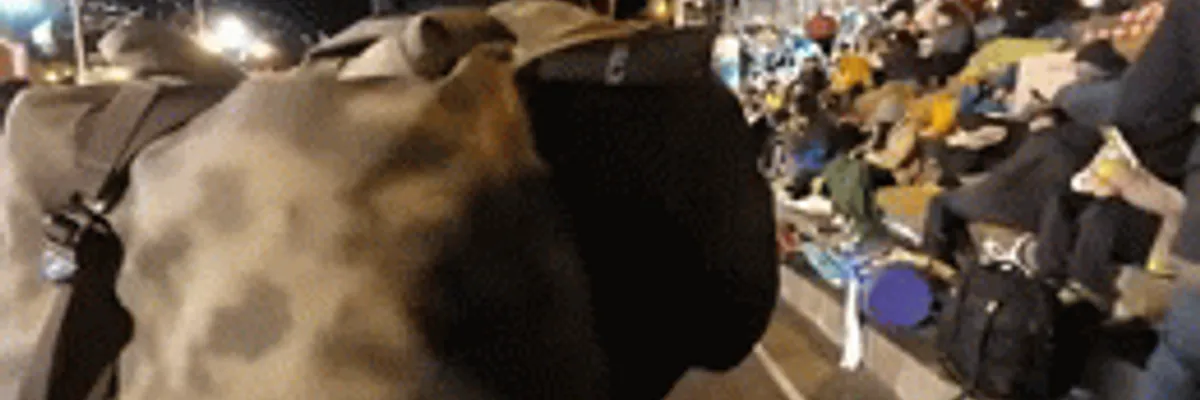 此生必看秘魯太陽祭! 中南美第二大慶典 一秒穿梭回古印加帝國 【秘魯ep.1】