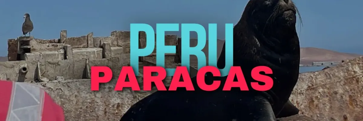 環遊世界.祕魯10|Paracas鳥島Islas Ballestas,窮人版的加拉巴哥?(含費用介紹)| 莎去哪了