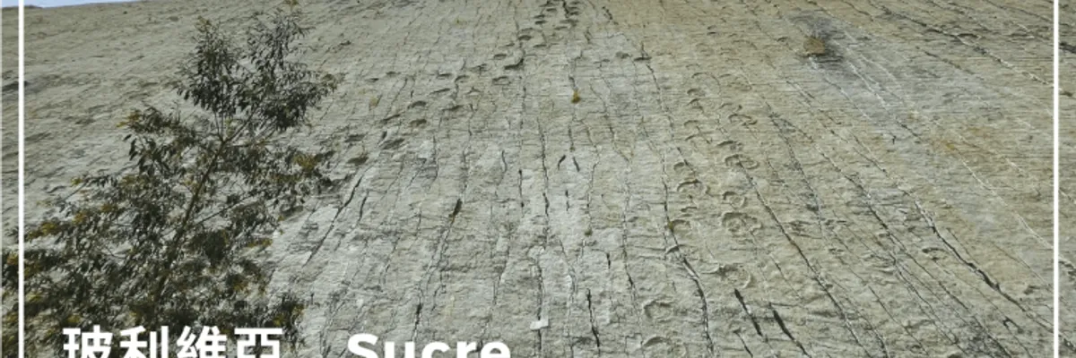 玻利維亞．Sucre｜恐龍足跡公園攻略：近距離與恐龍腳印合影（含交通指南）｜莎去哪了