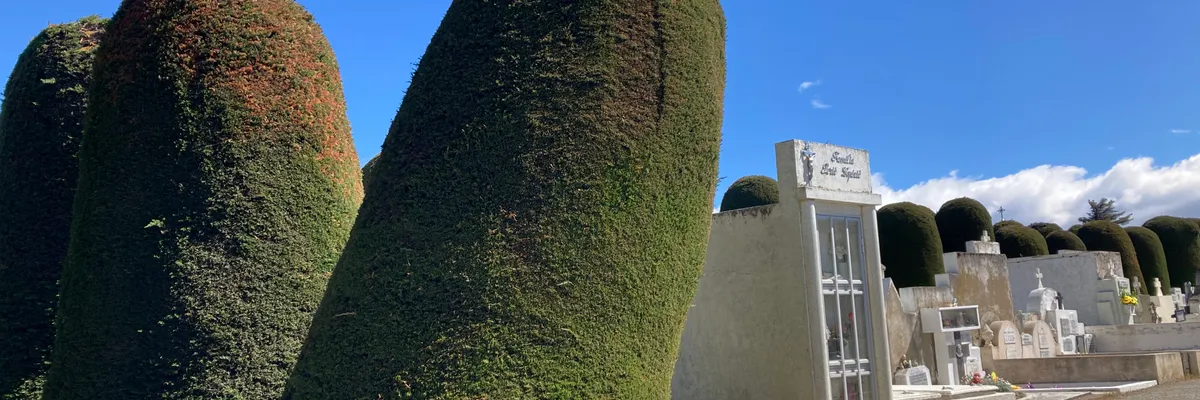 智利蓬塔阿雷納斯: 圓頂大樹墓園、介紹巴塔的精采博物館