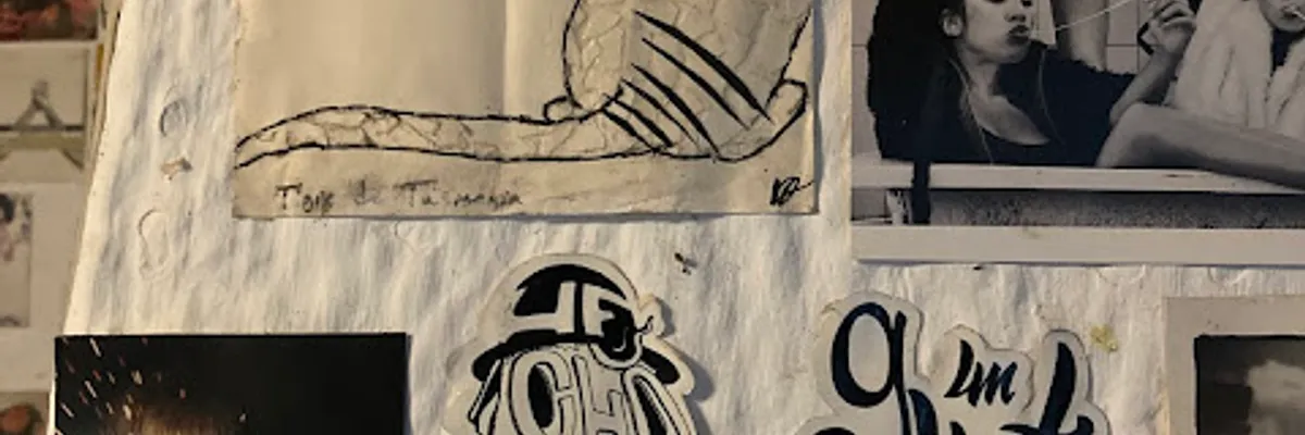 烏拉圭酒吧海灘(一)暴風雨、禽流感、蚊子軍團