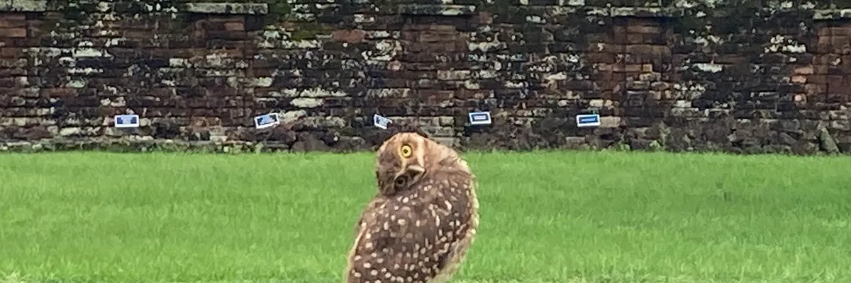 巴拉圭恩卡納西翁: 耶穌會遺址