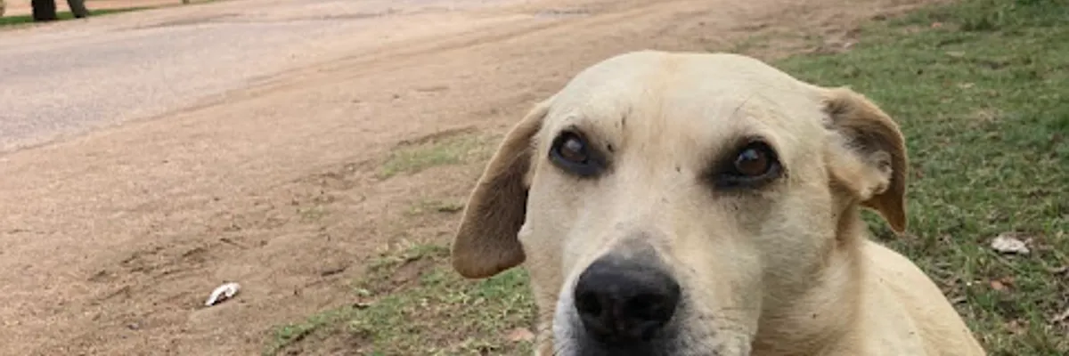 烏拉圭酒吧海灘(三) 母賊偶·德·瑪