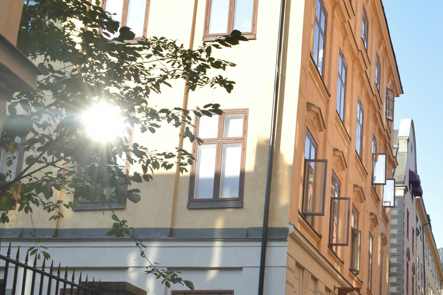 WordPress setup guide - LaunchPad plugin dashboard showing setup wizard interface