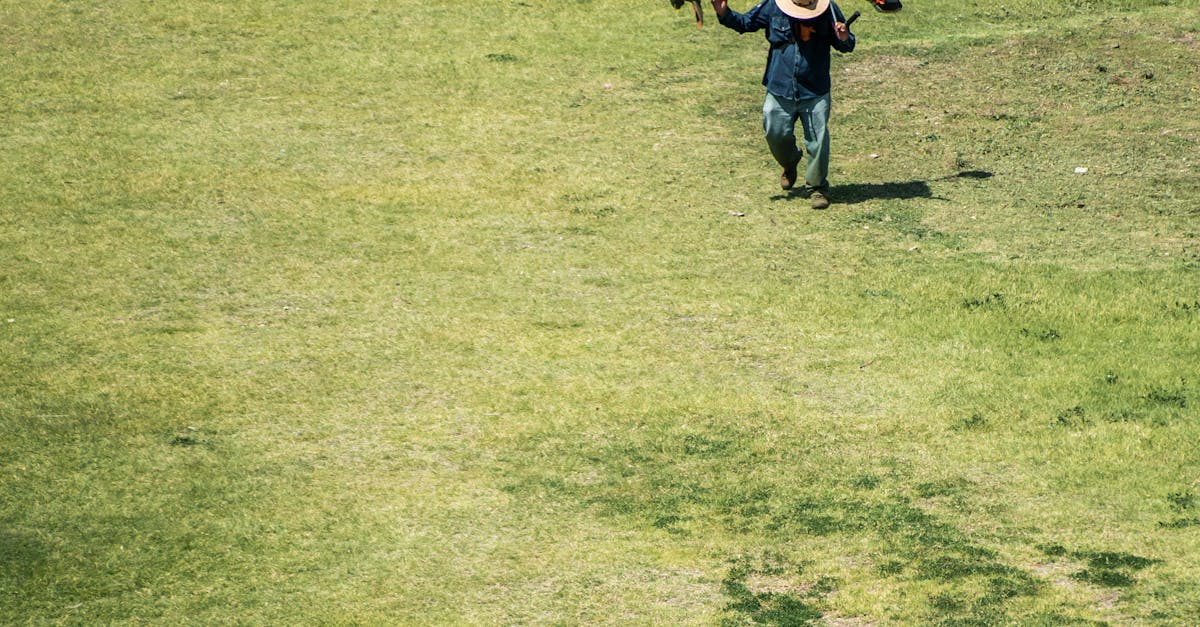 Lawn Maintenance